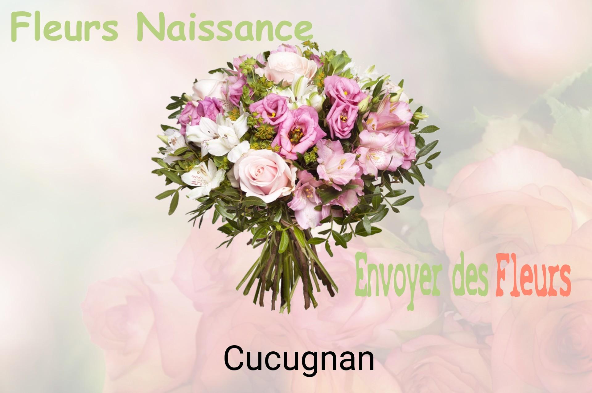 Bouquet de fleurs de naissance livré à Cucugnan